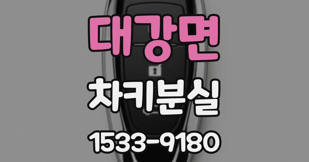 대강면 차키분실