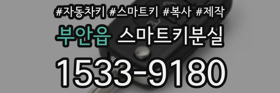 부안읍 스마트키분실