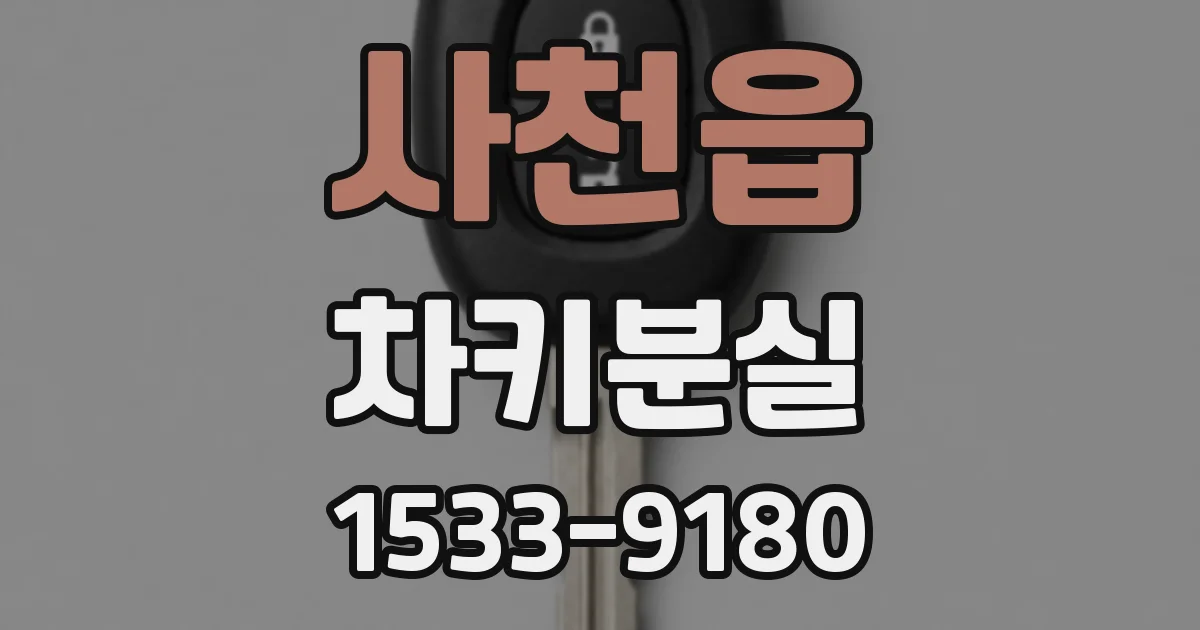 사천읍 차키분실