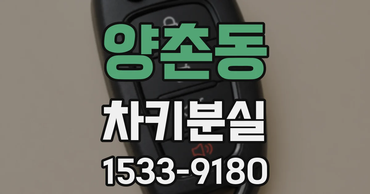 양촌동 차키분실