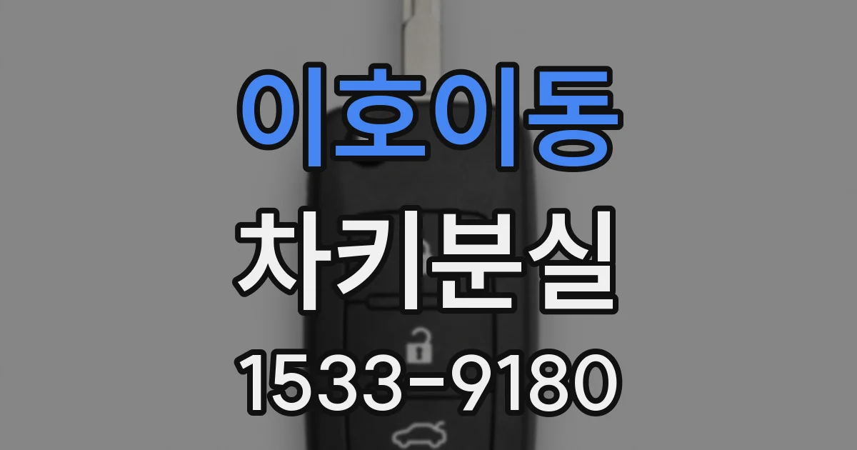 이호이동 차키분실