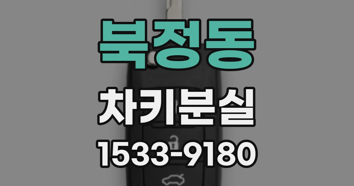 북정동 차키분실