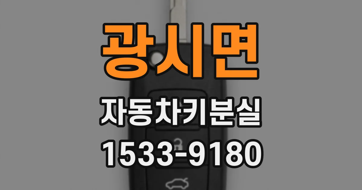 광시면 자동차키분실