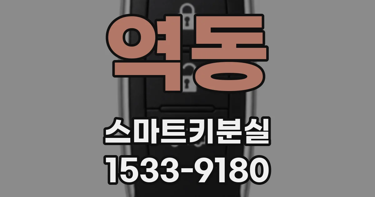 역동 스마트키분실