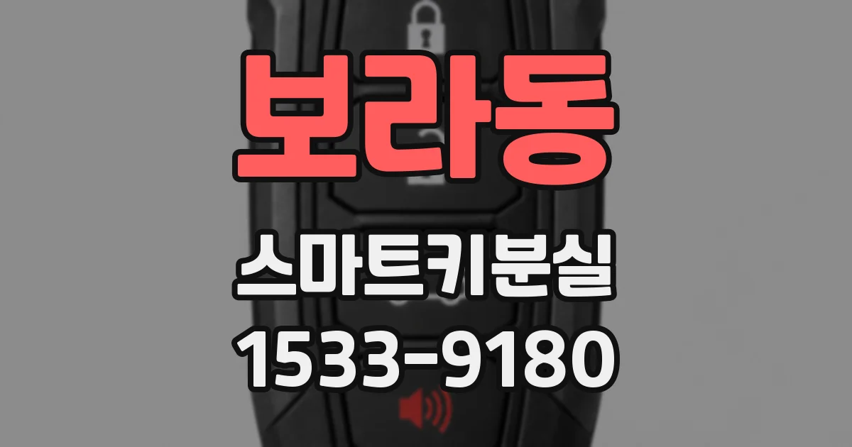 보라동 스마트키분실