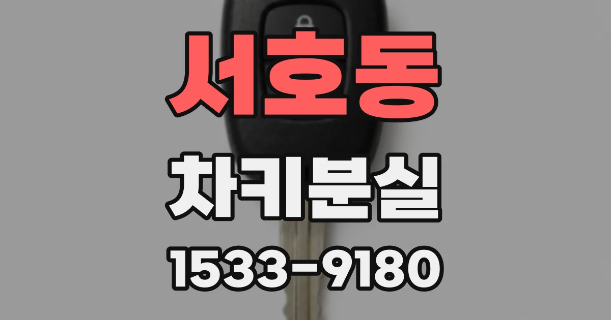 서호동 차키분실