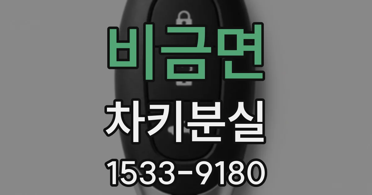 비금면 차키분실