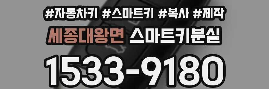 세종대왕면 스마트키분실