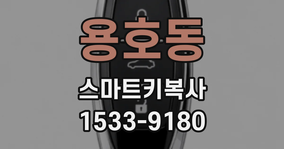 용호동 스마트키복사