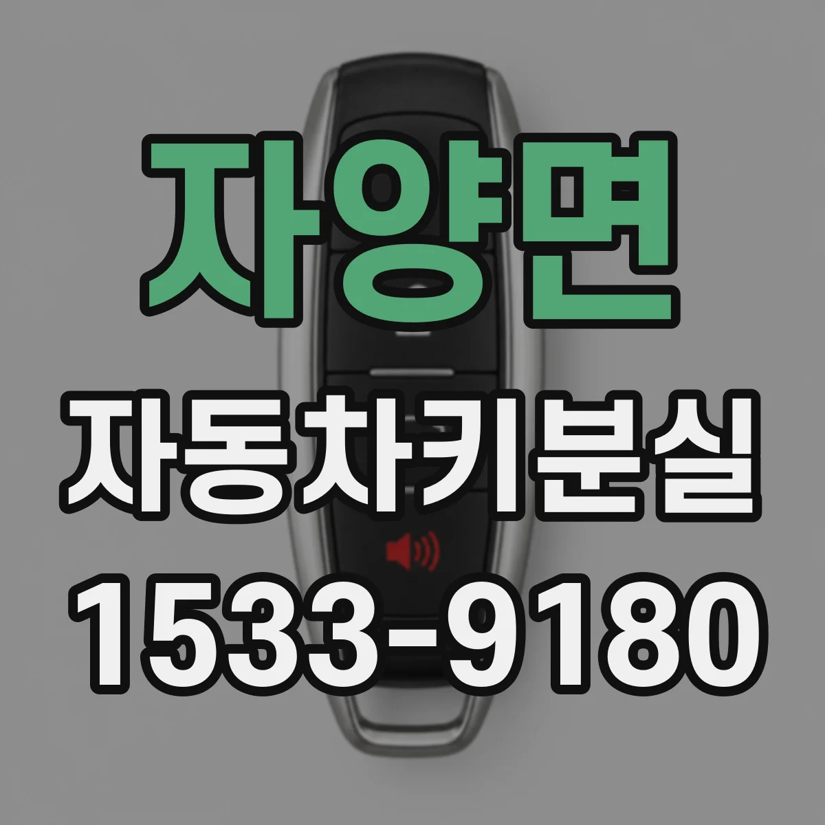 자양면 자동차키분실