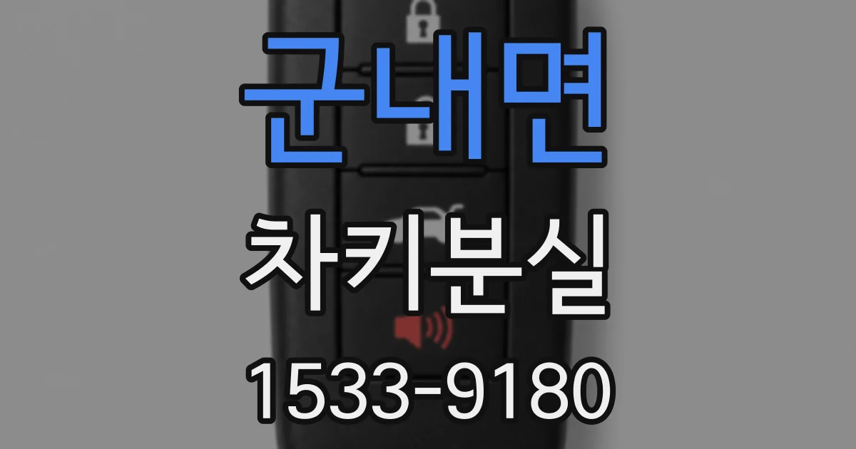 군내면 차키분실