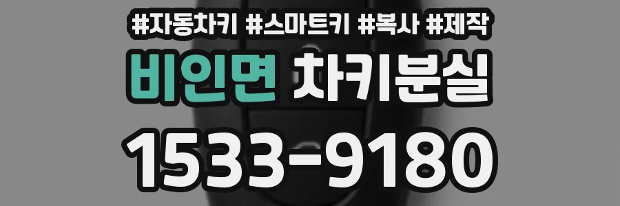 비인면 차키분실