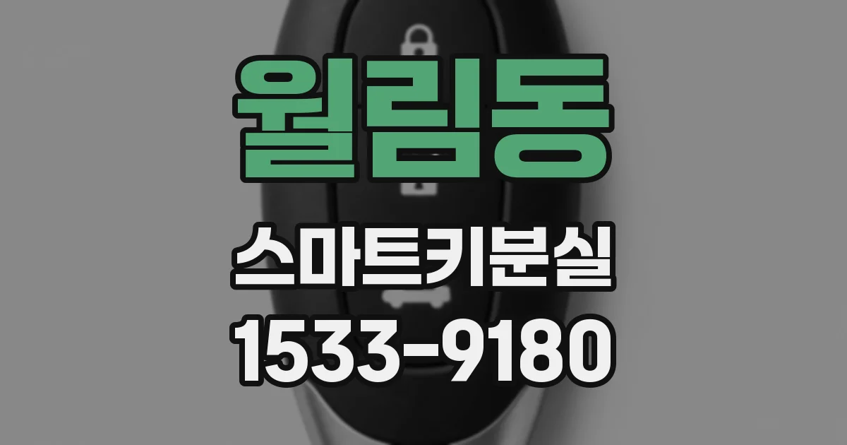 월림동 스마트키분실