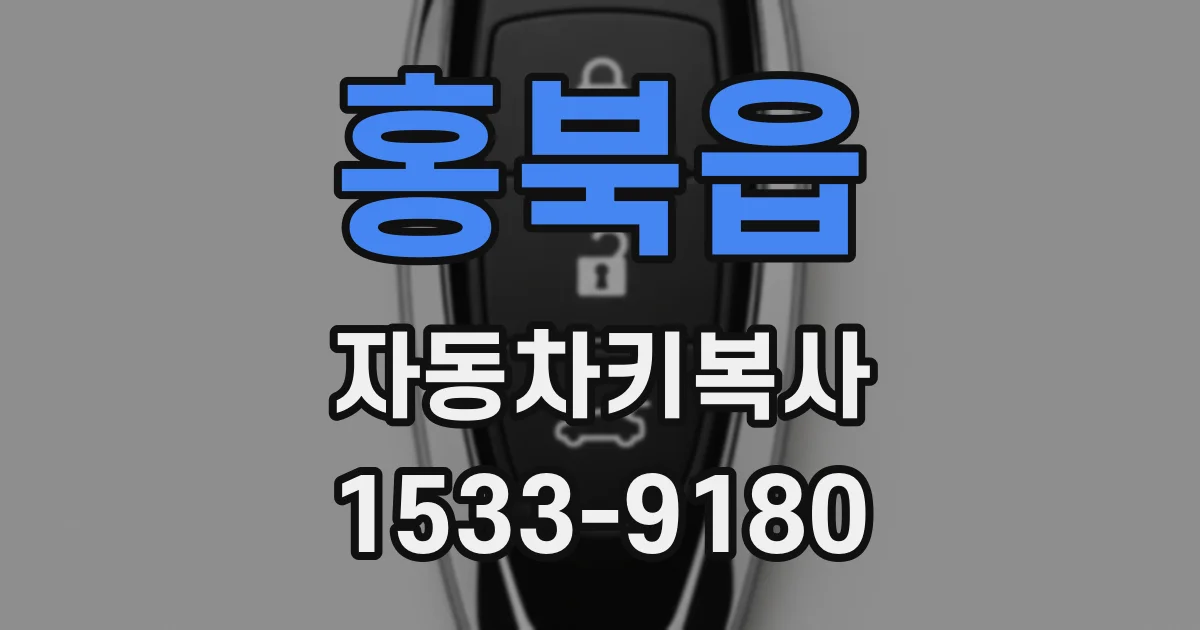홍북읍 자동차키복사
