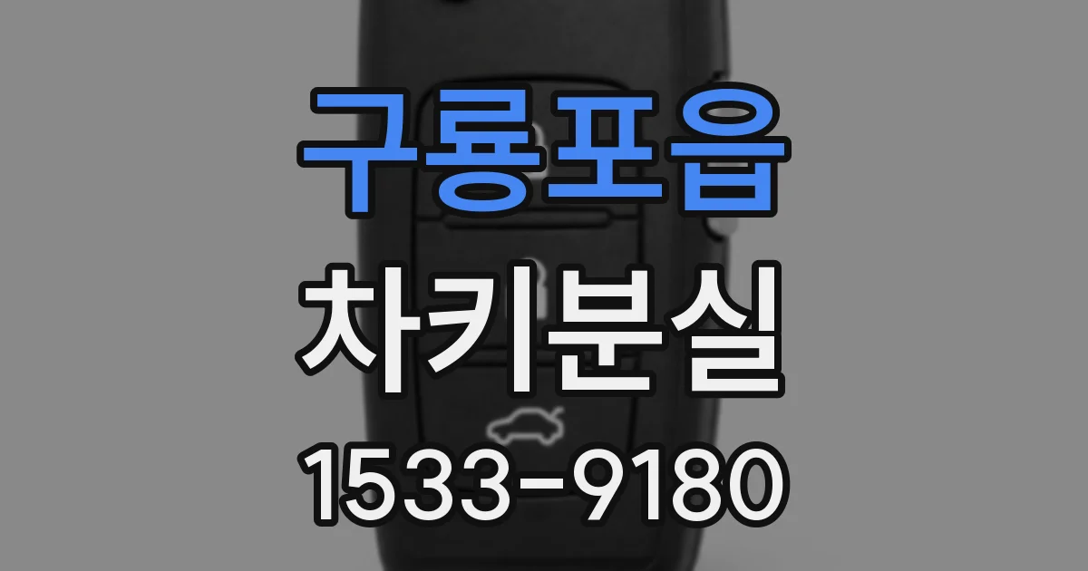 구룡포읍 차키분실