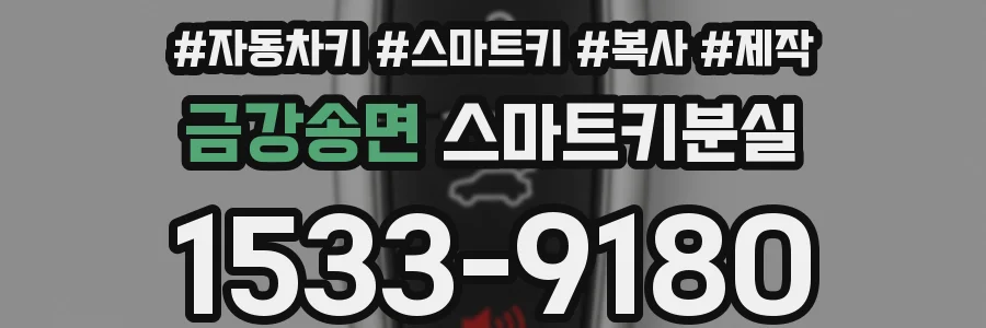 금강송면 스마트키분실