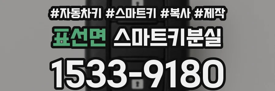 표선면 스마트키분실