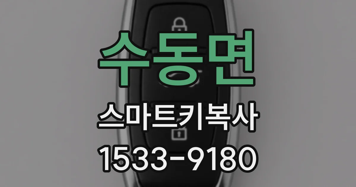 수동면 스마트키복사