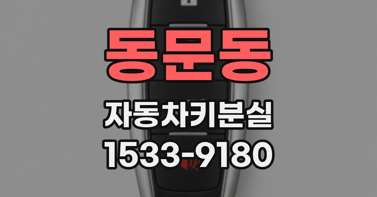 동문동 자동차키분실