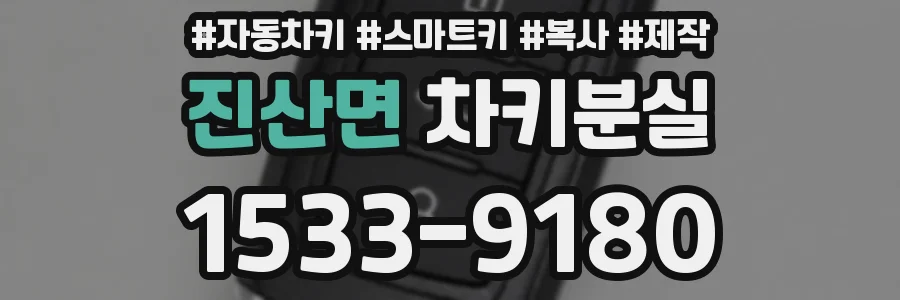 진산면 차키분실