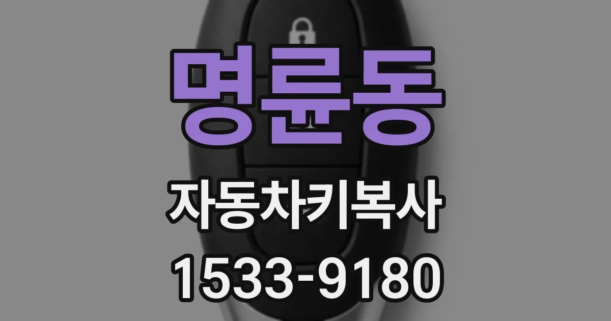명륜동 자동차키복사