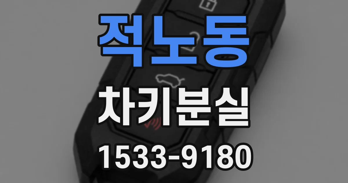 적노동 차키분실