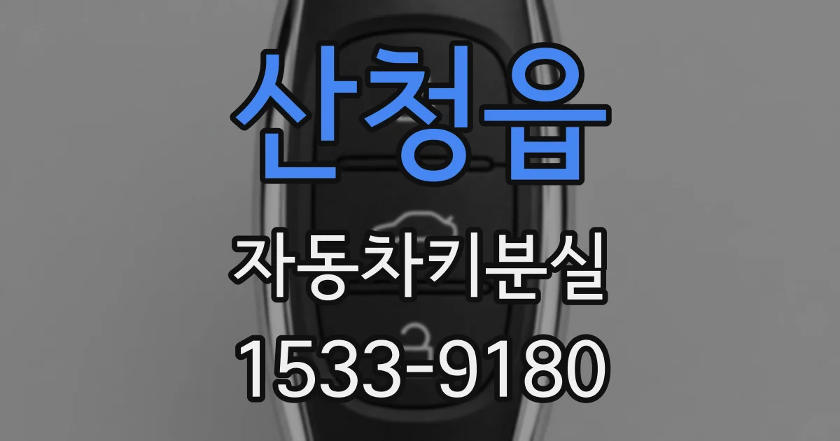 산청읍 자동차키분실