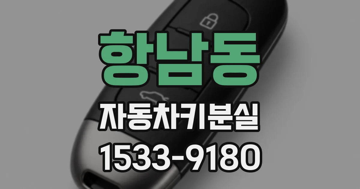항남동 자동차키분실