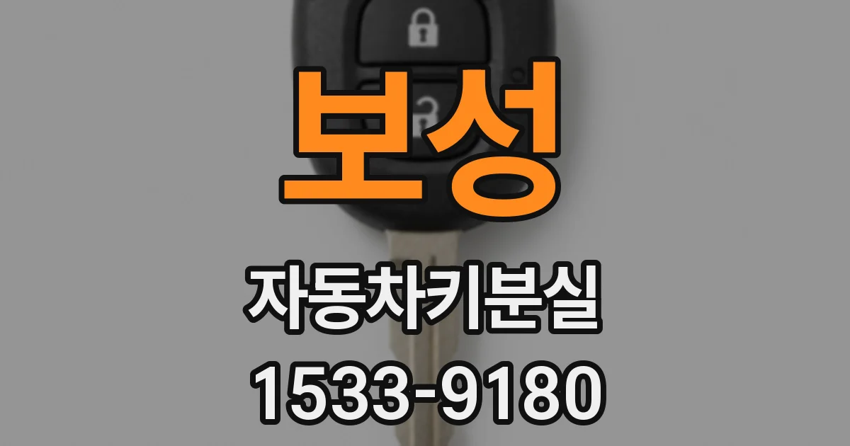 보성 자동차키분실