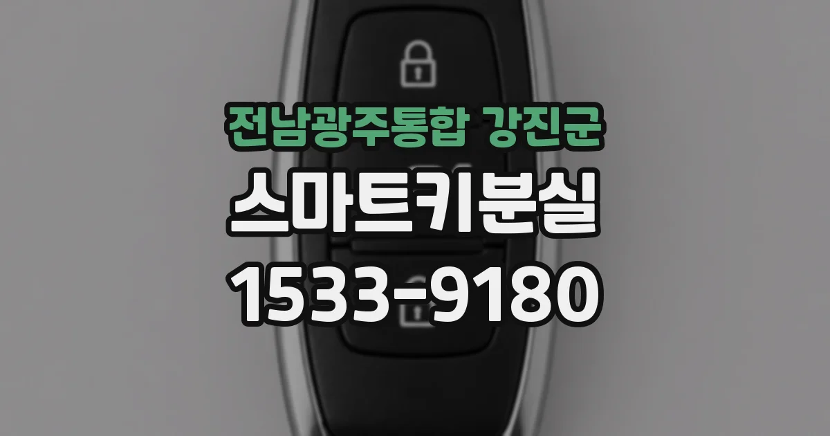 전남광주통합 강진군 스마트키분실