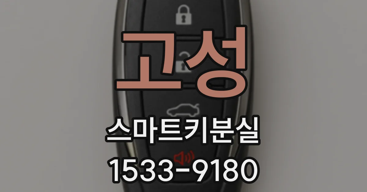 고성 스마트키분실