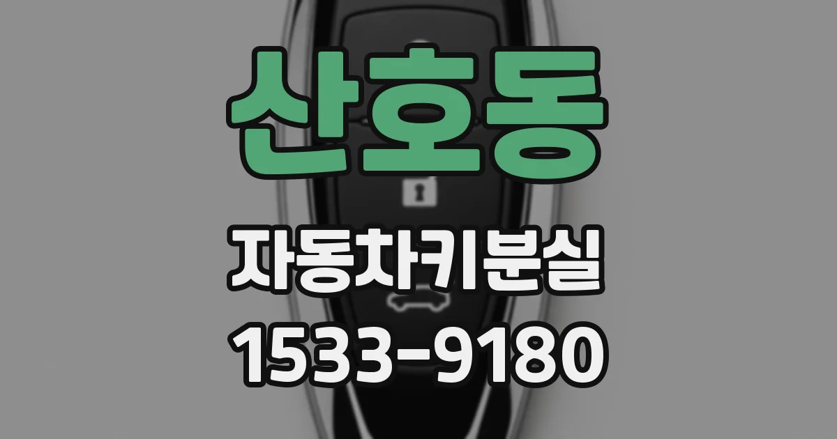 산호동 자동차키분실