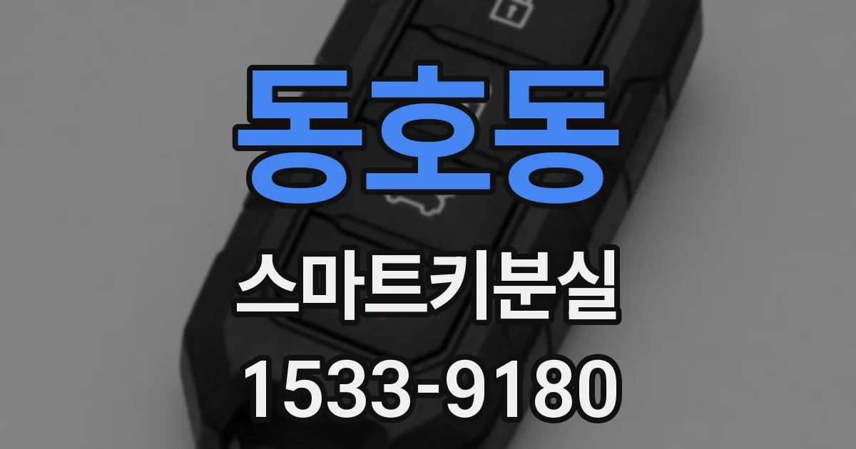 동호동 스마트키분실