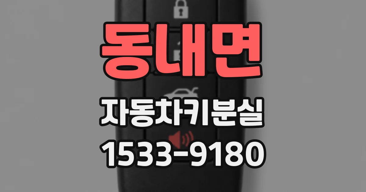 동내면 자동차키분실