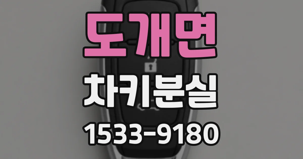도개면 차키분실