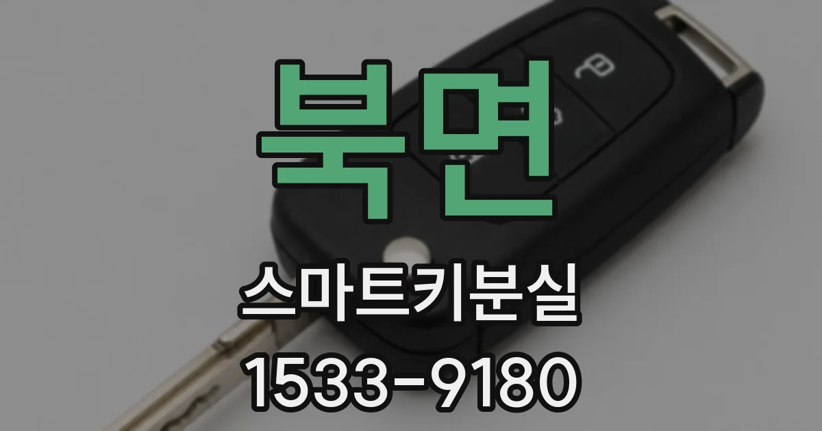 북면 스마트키분실