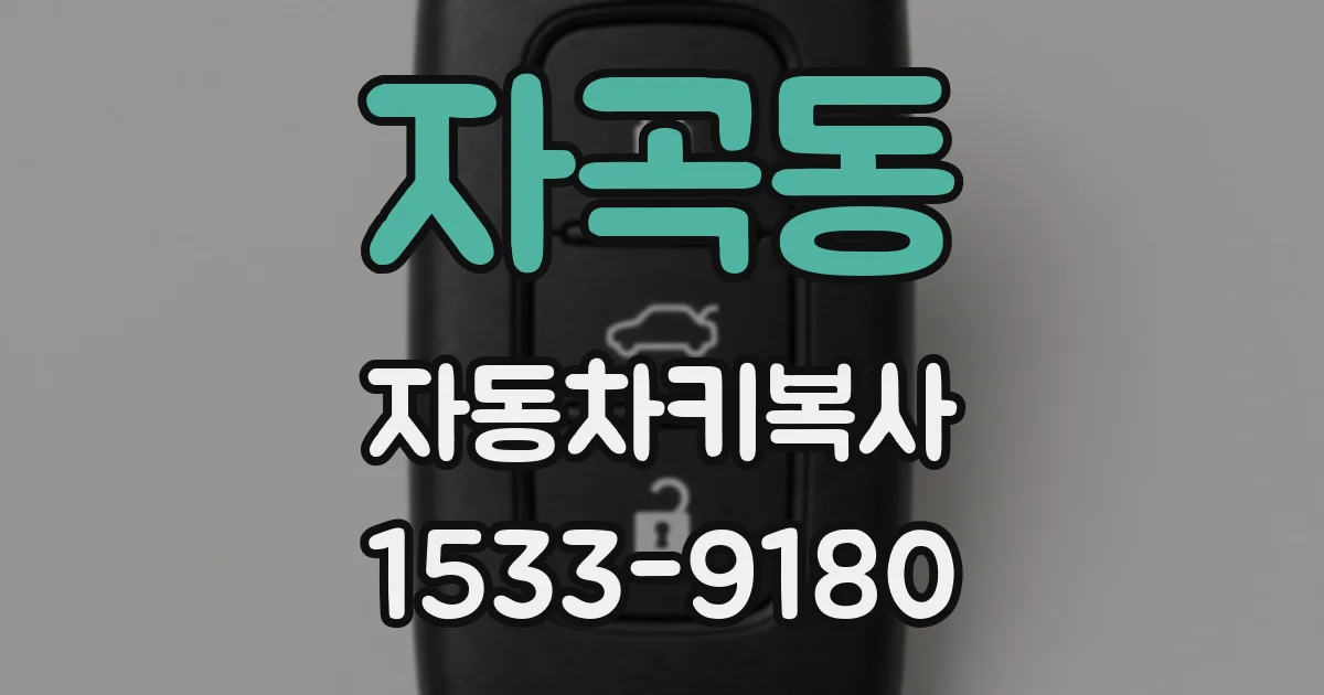 자곡동 자동차키복사