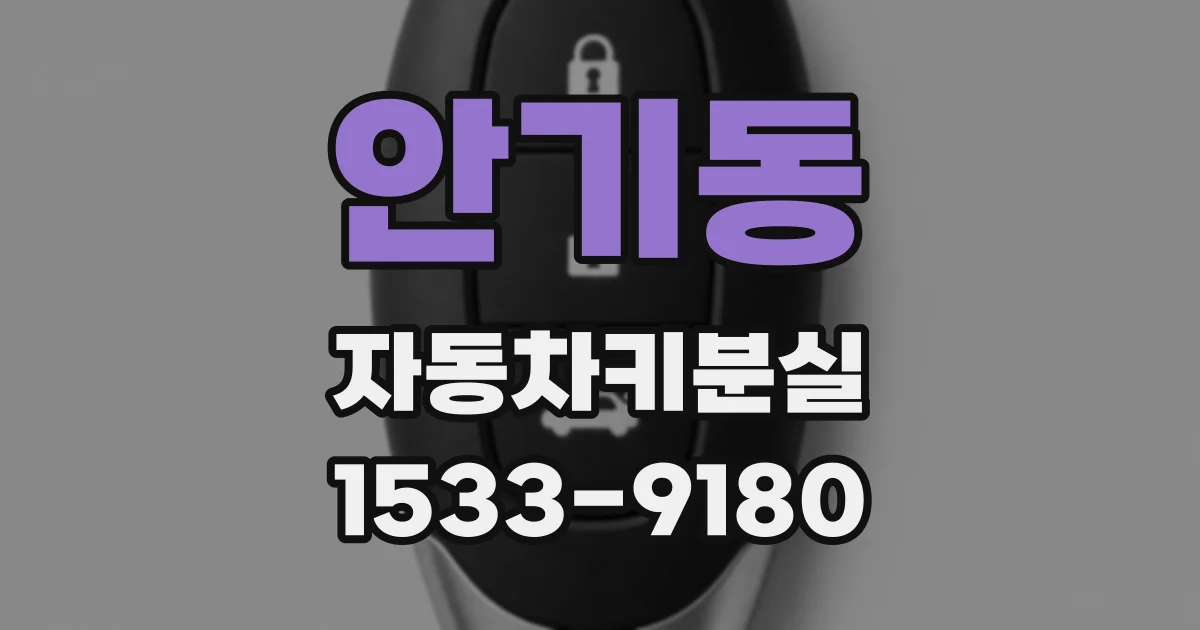 안기동 자동차키분실