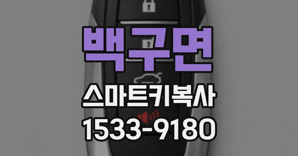 백구면 스마트키복사