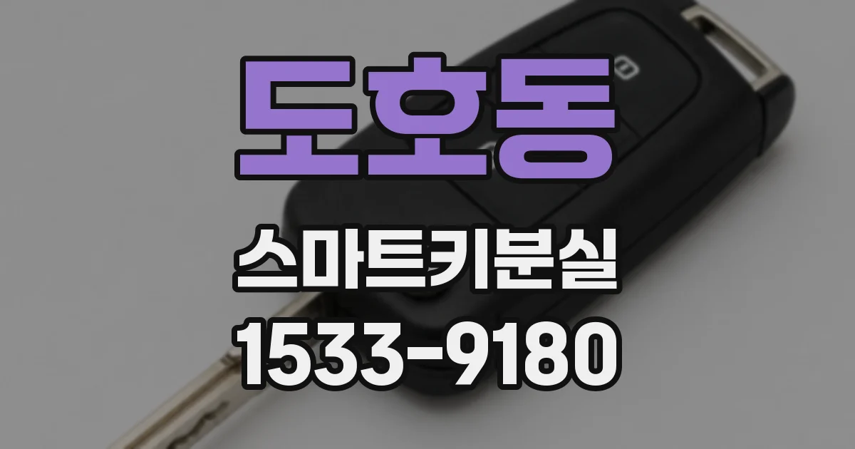 도호동 스마트키분실