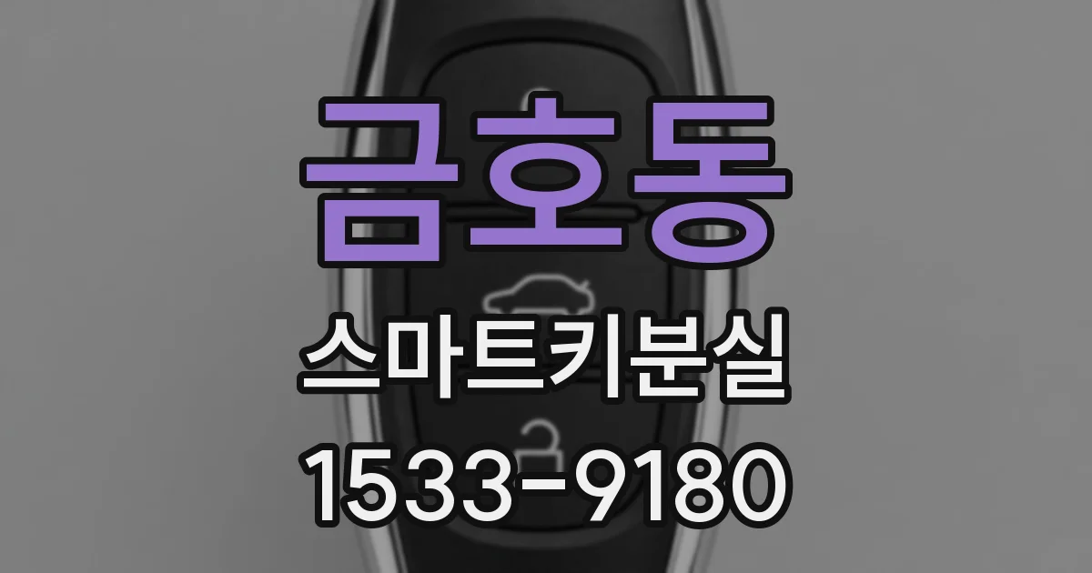 금호동 스마트키분실