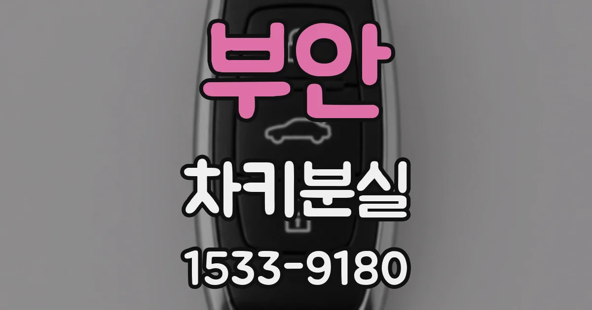 부안 차키분실