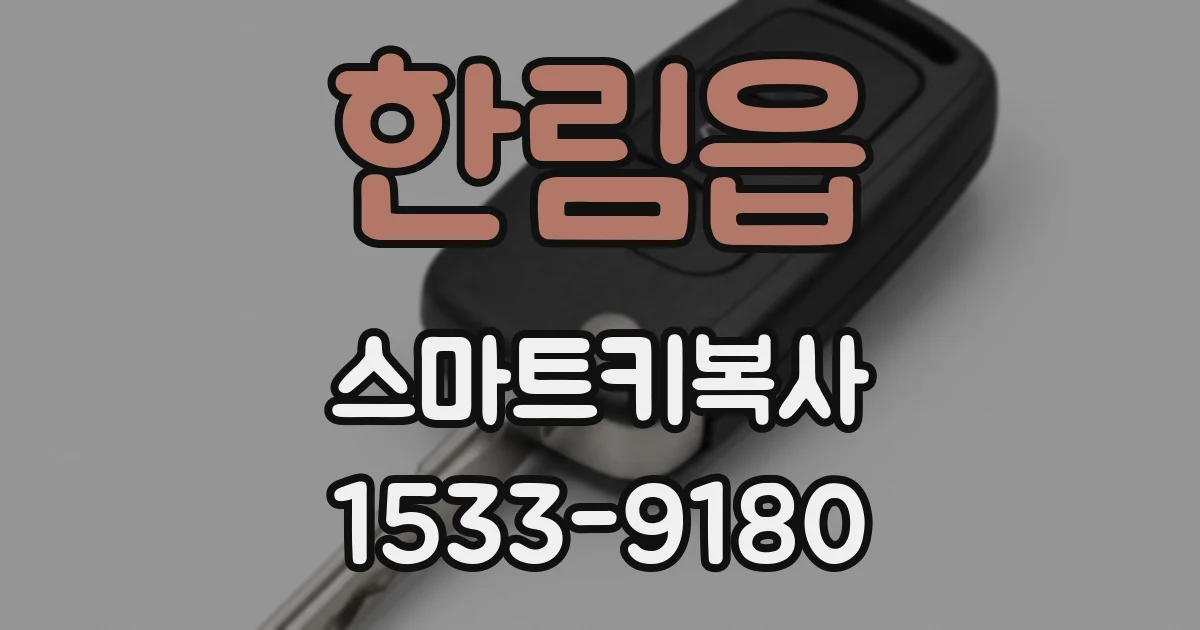 한림읍 스마트키복사