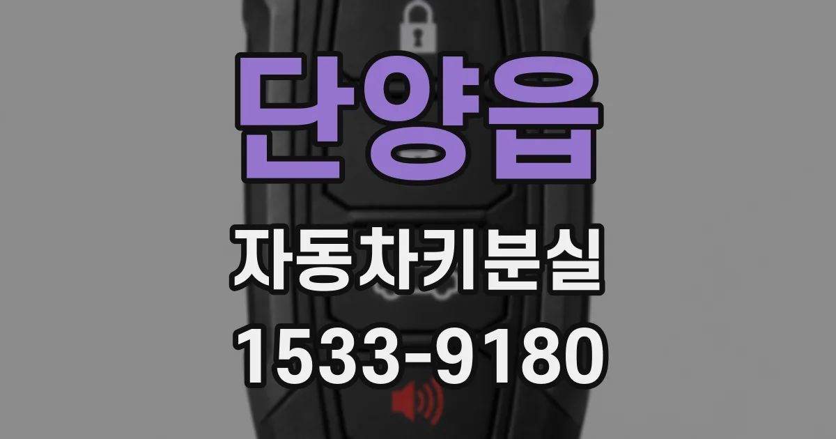 단양읍 자동차키분실
