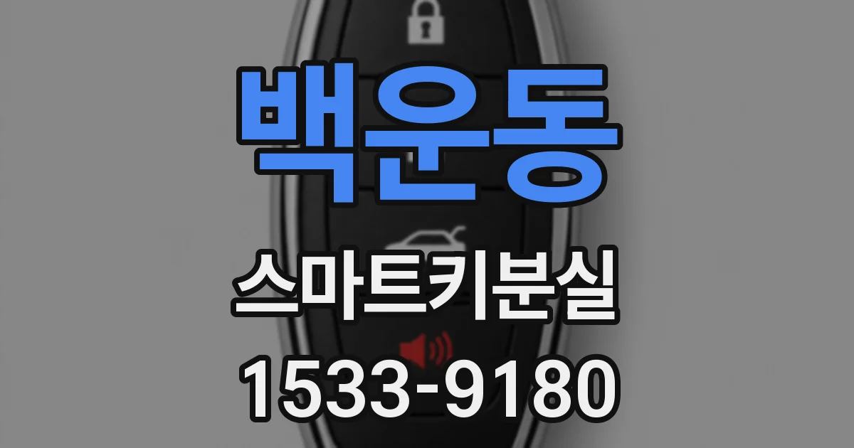 백운동 스마트키분실
