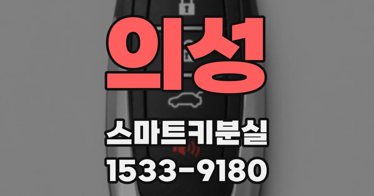 의성 스마트키분실
