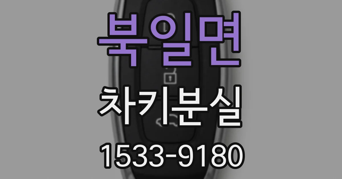 북일면 차키분실