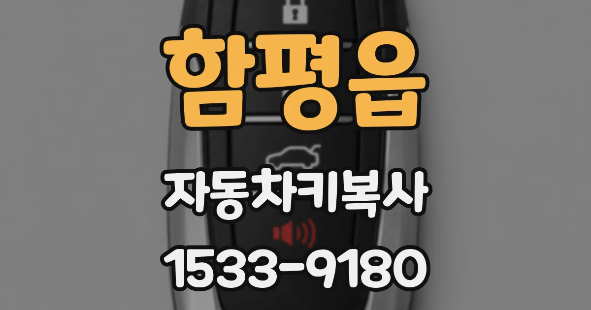 함평읍 자동차키복사