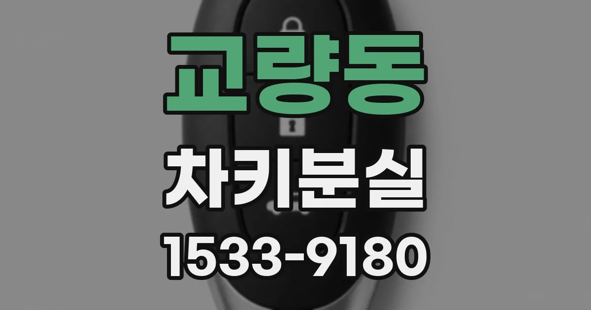 교량동 차키분실