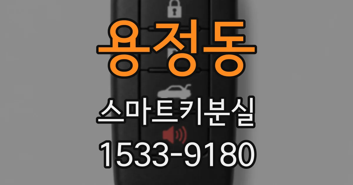 용정동 스마트키분실